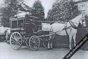 Horse and Cart Photo